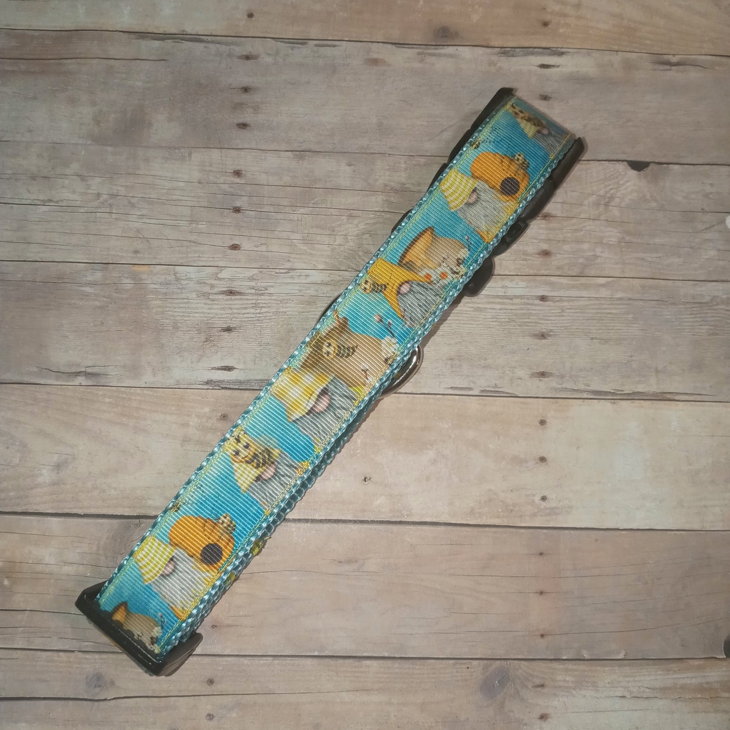 Honey bee and gnome dog collar