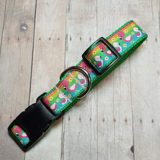 Pink and green flamingo dog collar