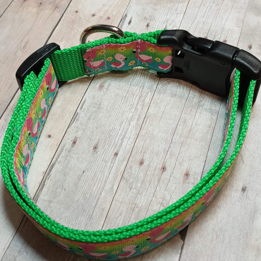 Pink and green flamingo dog collar