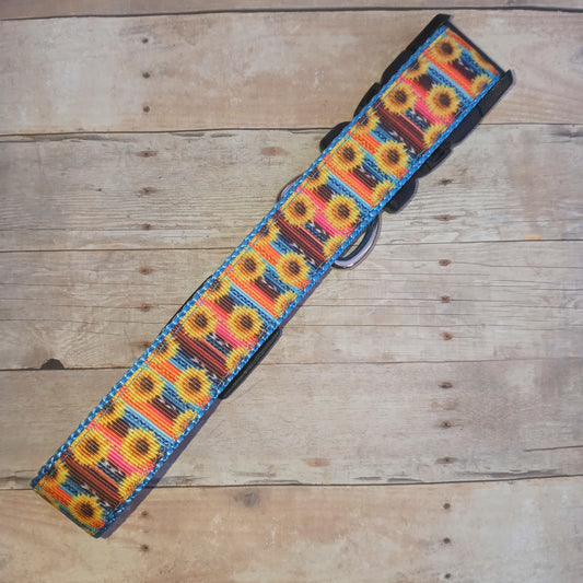 Serape sunflowers on blue dog collar